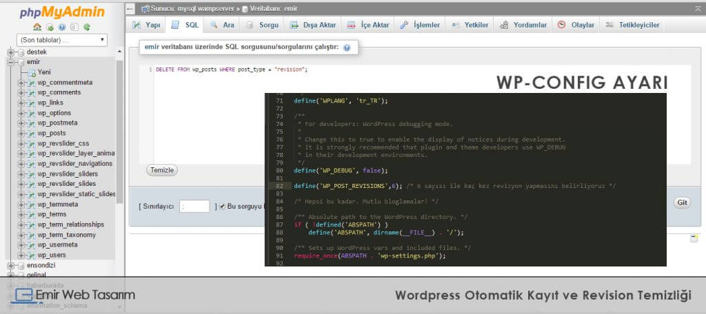 wordpress-otomatik-kayit-ve-revision-temizligi